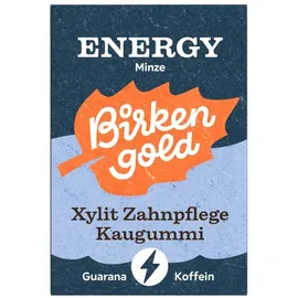 Birkengold Xylit Zahnpflege Kaugummi 28 g