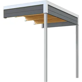 Weka Gartenhaus-Anbaudach Felix_Fynn 2 Anbau 150 x 250 cm Grau