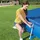 BESTWAY Flowclear Poolabdeckung blau 259x170 cm