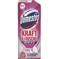 Domestos WC-Reiniger Kraft & Frische Floral Fresh