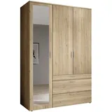 Harper Drehtürenschrank BOSA 135 x 195 x 56 cm Braun/Mehrfarbig