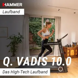 Hammer Q. Vadis 10