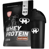 1kg Mammut Whey Protein Eiweißshake - Set inkl. Protein Shaker, Riegel, Powderbank oder Tasse (Iced Coffee, Gratis Mammut Shaker)