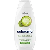 Henkel Schauma Shampoo Fresh Matcha bei fettigem Ansatz 400ml