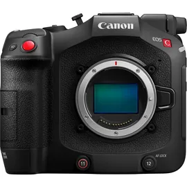 Canon Cinema EOS C80 + RF 24-105 mm F2,8 L IS USM Z