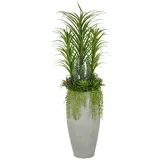 Creativ green »Arrangement aus Sukkulenten«, in opulenter Größe