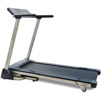 Johnson fitness & wellness T-R01