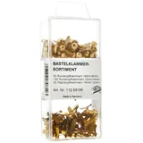 Wedo 11259199 Bastelklammern Sortiment, 240 Stück, Flachkopf und Rundkopf, 3 verschiedene Größen in praktischer Box, vermessingt