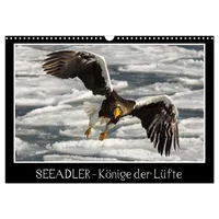 Calvendo Seeadler - Könige der Lüfte (Wandkalender 2026 DIN