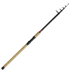 DAM Spezi Stick II Tele Eel 2,70m 25-75g Aalrute