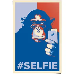 Poster REINDERS "Selfie Affe", blau (farbe bild(er): blau), B:61cm H:91,5cm, Papier, Bilder