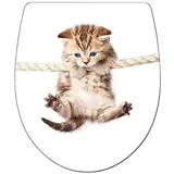 ADOB WC-Sitz Cat Absenkautomatik Bunt