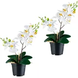Creativ green Kunstorchidee CREATIV GREEN "Orchidee Phalaenopsis", weiß, H:28cm, Kunststoff, Kunstpflanzen, mit real-touch-Blüten