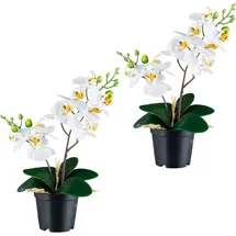 Creativ green Kunstorchidee CREATIV GREEN "Orchidee Phalaenopsis", weiß, H:28cm, Kunststoff, Kunstpflanzen, mit real-touch-Blüten