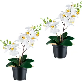 Creativ green Kunstorchidee CREATIV GREEN "Orchidee Phalaenopsis", weiß, H:28cm, Kunststoff, Kunstpflanzen, mit real-touch-Blüten