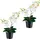 Creativ green Kunstorchidee CREATIV GREEN "Orchidee Phalaenopsis", weiß, H:28cm, Kunststoff, Kunstpflanzen, mit real-touch-Blüten