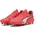 PRO Fg/Ag Glowing red-puma white-red fire