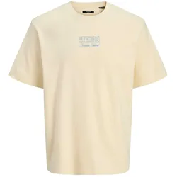 Jack & Jones T-Shirt DESTINATION Kurzarmshirt