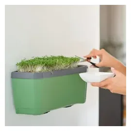 Gusta Garden Anzuchtsgefäß Harry Herbs 5 L hellgrau