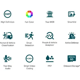 TP-Link VIGI C350 Schwarz