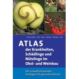 Stocker Atlas der Krankheiten Schädlinge und Nützlinge im Obst- und Weinbau: Buch von Peter Fischer-Colbrie/ Milan Hluchy/ Uwe Hoffmann/ Sabine Pleininger...