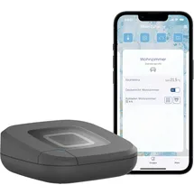 eQ-3 Homematic IP Access Point 2, anthrazit