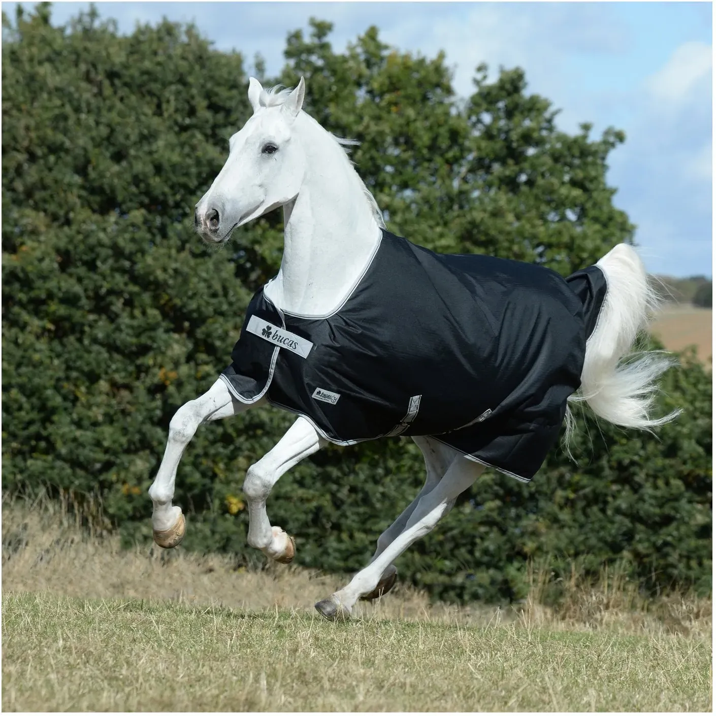 bucas Outdoordecke Anniversary Black Turnout Light black 135 cm
