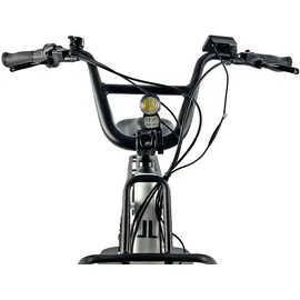 Llobe Cargo City E-Bike Cargado 42 Zoll RH 42 cm weiß