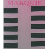 Efalock Marquis, 4 cm, schwarz, 1er Pack, (1x 100 Stück)