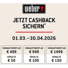 Weber Performer Premium Smart 57 cm schwarz/silber