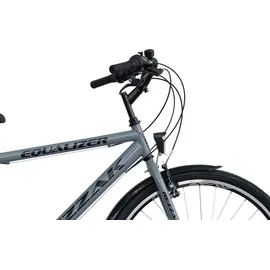 Rezzak 28 Zoll RH 48 cm Herren grau