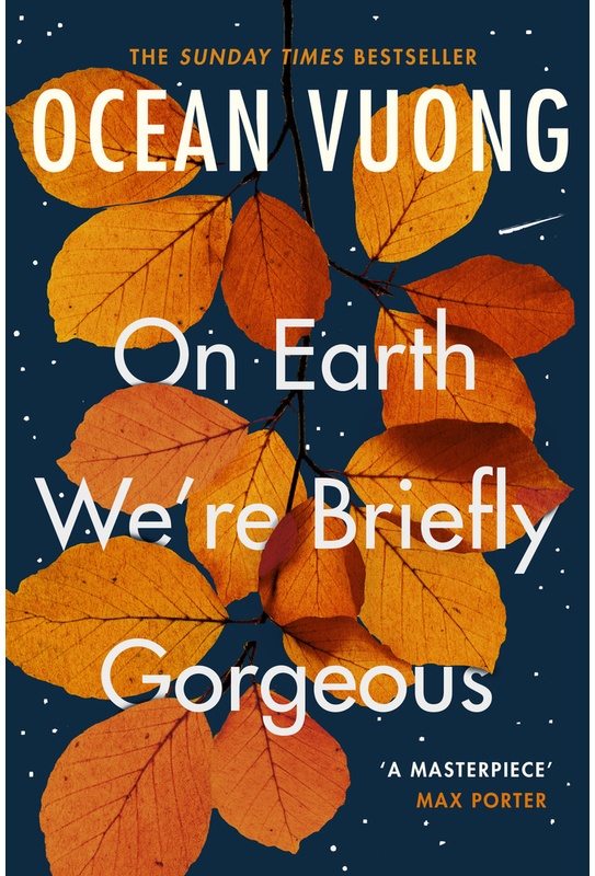 On Earth We're Briefly Gorgeous - Ocean Vuong, Kartoniert (TB)