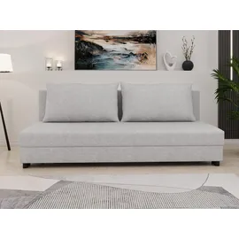 Homesy Schlafcouch grau 2-Sitzer