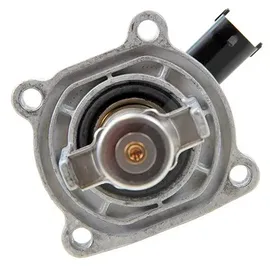 Wahler Thermostat Kühlmittel