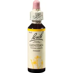 BACHBLÜTEN Gentian Tropfen 20 ml