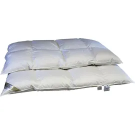 Betten Hofmann Franken 8cm Hochsteg Winterbett Daunenbett Daunendecke 6x6 200x200 1620g - Weiß