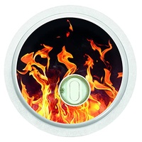 Aufkleber Sticker für FreeStyle Libre 3 Sensor 2x Flammen myDili Diabetes