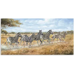 Artland Alu-Dibond-Druck »Laufende Zebras«, Wildtiere, (1 St.), für Innen- und Außenbereich geeignet, Outdoorbild Artland Farbe Bild(er): naturfarben