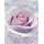 KOMAR Fototapete Vlies Delicate Rose 200 x 260 cm