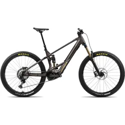 Orbea Wild M Team Schwarz Modell 2024