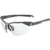 Alpina Twist Six HR V midnight-grey matt - Grau
