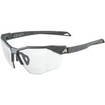 Alpina Twist Six HR V midnight-grey matt - Grau