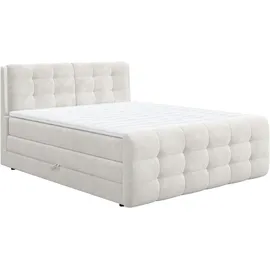 Cotta Boxspringbett COTTA "Fort mit Bettkasten, inkl. Topper", beige (cream), B:161cm L:228cm, 100% POLYESTER (PES), Komplettbetten, Boxspringbett, erhältlich in verschiedenen Breiten (160cm, 180cm & 200cm), Topseller