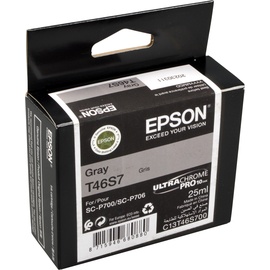 Epson T46S7 grau (C13T46S700)