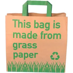 250 Graspapier Tragetaschen Papiertragetaschen mit Grasanteil 26+17x25cm mit Neutralmotiv