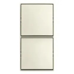 Busch-Jaeger 2601/6/2601/6APJ-522 Kombination Schalter/Schalter Aufputz 2TKA00005526 2601626016APJ522
