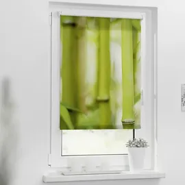 Lichtblick Rollo Klemmfix ohne Bohren, blickdicht, Bambus Grün -