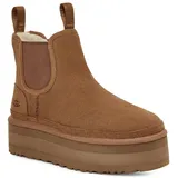 Chestnut 40