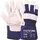 tecwerk Handschuhe Elbe Gr.10 blau EN 388 PSA II TECWERK