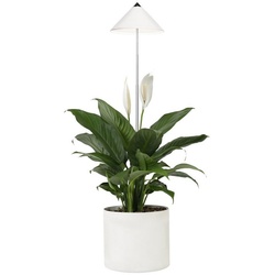 PARUS Pflanzenlampe Indoor plants, Leuchtmittel für Pflanzen, Teleskopstab 1m, SUNLiTE Pflanzenlampe 7W Weiß